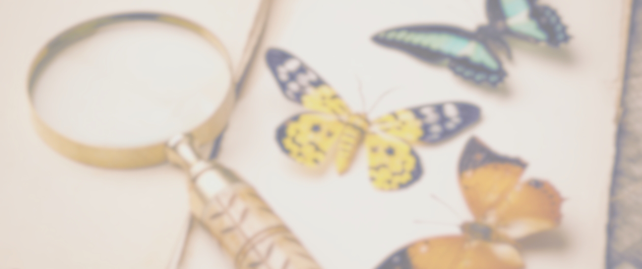 BSc 2nd Year Zoology - Full Course with Free Notes